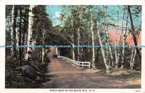 R346649 N H Birch Road in the White MTS American Art Post Card Co C T American A