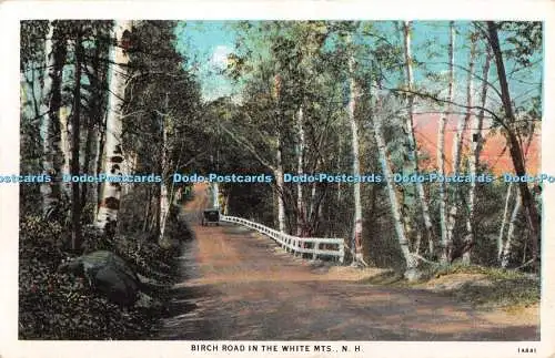 R346650 N H Birch Road in the White MTS American Art Post Card Co C T American A