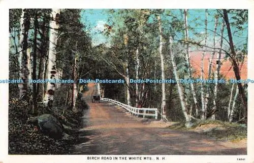 R346651 N H Birch Road in the White MTS American Art Post Card Co C T American A