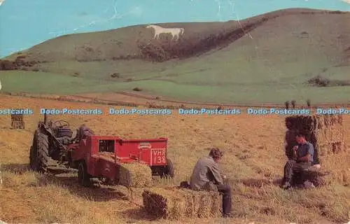 R346834 Wiltshire Westbury The White Horse J Salmon Cameracolour