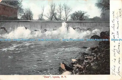 R347303 N Y Lyons Dam The Rochester News Company 1905