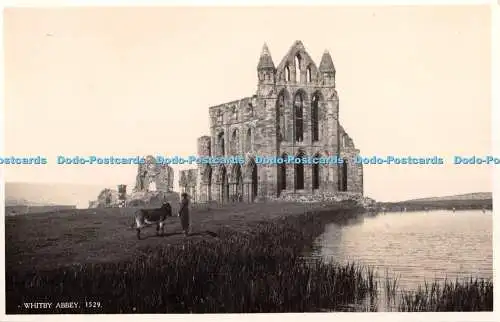 R347391 Whitby Abbey J Salmon RP