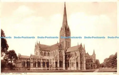 R347594 Salisbury Cathedral N E Photochrom