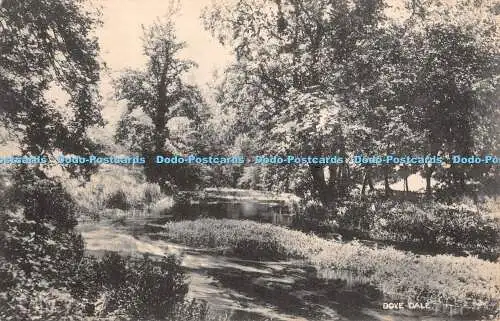 R347871 Dove Dale H P Hansen Postkarte