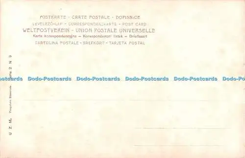 R336619 Studii Artistici La Pineta Di Ravenna U Z M Serie 2 N 9
