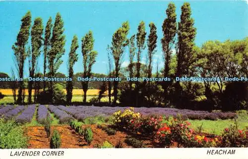 R348108 Heacham Lavender Corner A Sapphire Card