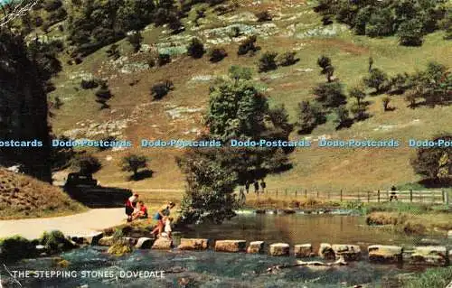 R348171 Dovedale The Stepping Stones J Salmon 1964