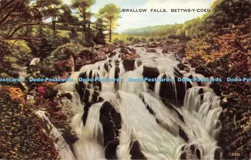 R350437 Sallow Falls Betty Coed 13881 Valesque 1240V Style