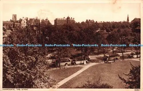 R350465 Harrogate The Stray 82827 Photochrom