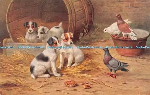 R352432 Farm Four Dogs and Three Pigeons J Salmon E hunt