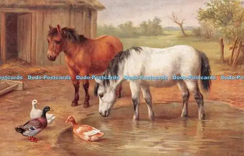 R352448 Farm Zwei Pferde und Enten J Salmon E Hunt