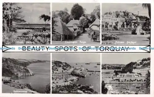 R350694 Beauty Spots of Torquay RP Nigh Multi View