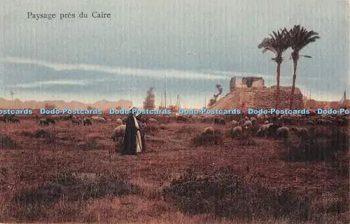 R349244 Paysage pres du Caire No 18 L and H The Cairo Postcard Trust