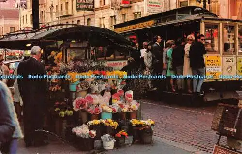 R349403 San Francisco Blumenständer Einer der vielen einzigartigen Blumenständer C22388 F