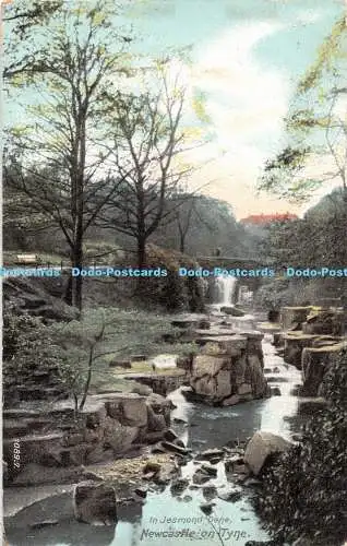 R352793 Newcastle on Tyne In Jesmond Dene Hartmann 1906