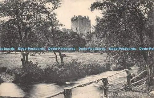 R354475 Blarney Castle Co Cork Lawrence Verlag