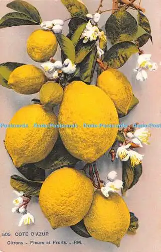 R352844 Cote D Azur Citrons Fleurs et Fruits RM Editeur D Art Munier Phot