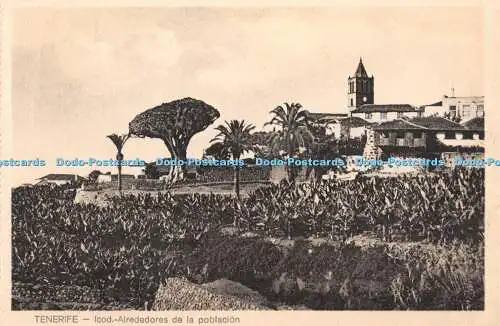 R354618 Tenerife Icod Alrededores de la poblacion