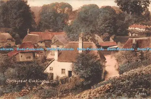 R349772 Cottages at Cockington 3880 A J Blackler