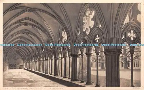 R356373 The Cloisters Salisbury Cathedral 1956 F Neesham S H 1956