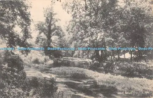 R351560 Dove Dale H P Hansen Postkarte