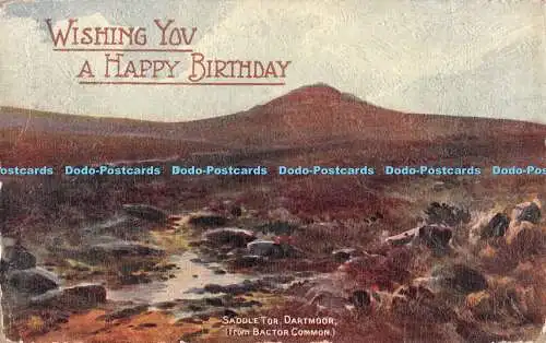 R356433 Wishing You A Happy Birthday Sattel Tor Dartmoor von Bactor Common Salm