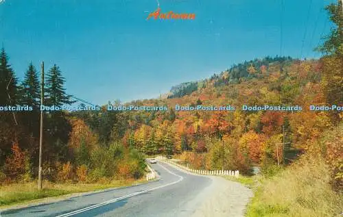 R353795 Autumn Dexter Press 1960