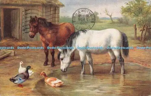 R352165 Farm Two horses and ducks J Salmon E Hunt 1958