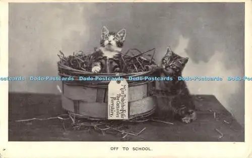 R357092 Ab in die Schule Katzen Kätzchen The Regent Glossy Serie 1601 R P 1906