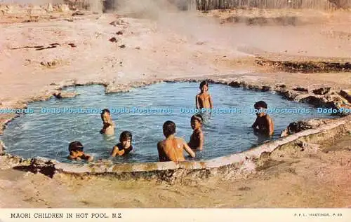 R355731 Maori Kinder im Hot Pool N Z P P L