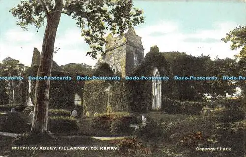 R354220 Muckross Abbey Killarney Co Kerry The Star Series G D and D London F Fr