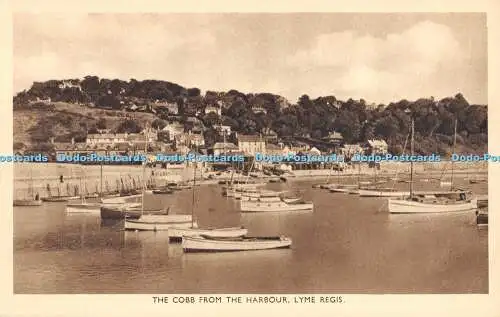 R357528 The Cobb from the Harbour Lyme Regis English Harbours Serie J Dixon Sco