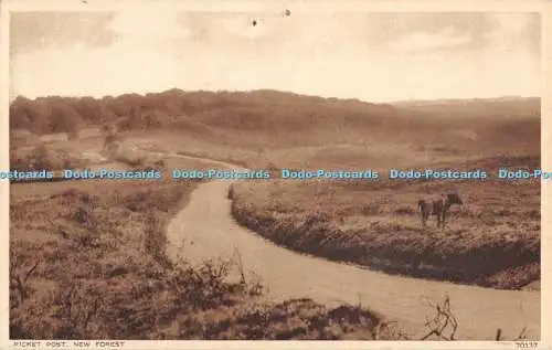 R357644 Streikposten New Forest 70137 Photochrom