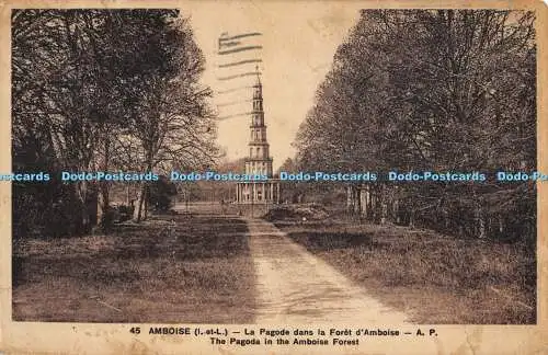 R357666 45 Amboise I et L La Pagode dans la Foret dAmboise Die Pagode im Amb