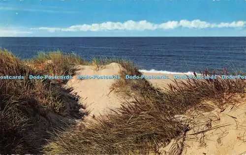 R357700 Groeten uit Zandvoort aan Zee Muva