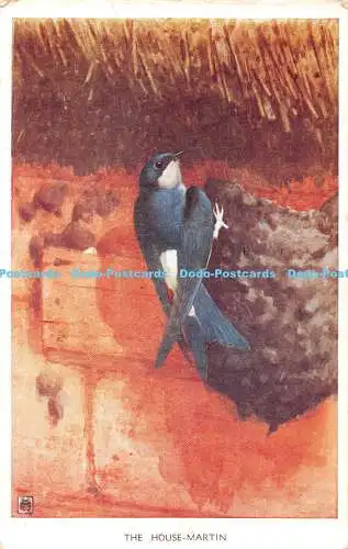 R359431 The House Martin Valentine Winifred Austen Bird Serie 1960