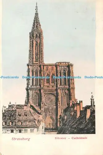 R360211 Strassburg Münster Kathedrale Postkarte 1908