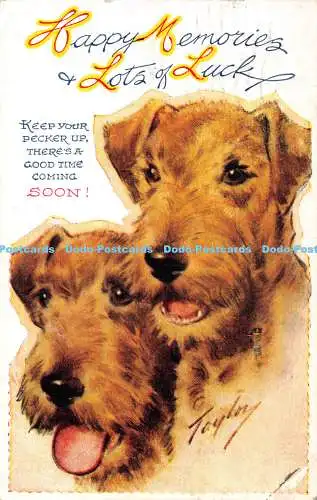 R360954 Happy Memories viel Glück Zwei Hunde Bamforth Best of Luck Serie Nr 1