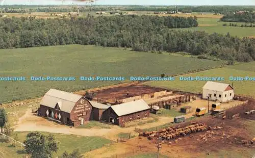 R362941 Frankenmuth Simmental Farm Frankenmuth Michigan 48734 Dale Fisher Heli P