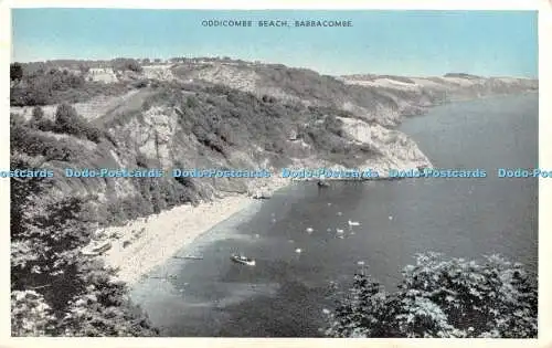 R364532 Babbacombe Oddicombe Beach E T W Dennis Photoblue 1961