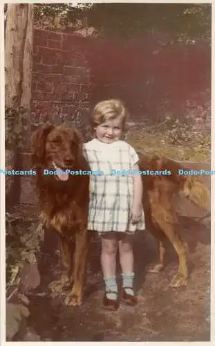 R361335 Mädchen und Hund alte Fotopostkarte