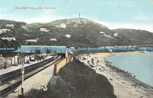 R366063 Co Dublin Killiney Hill Chas L Reis