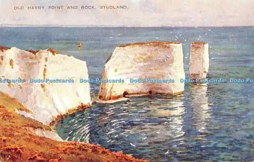 R364621 Studland Old Harry Point and Rock Valentine Art Farbe E W H