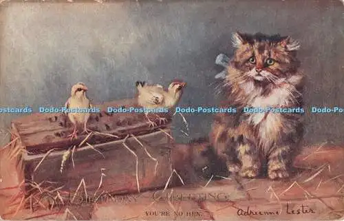 R364703 A Birthday Greetings You re no Hen C W Faulkner Serie 738 Adrienne Lest