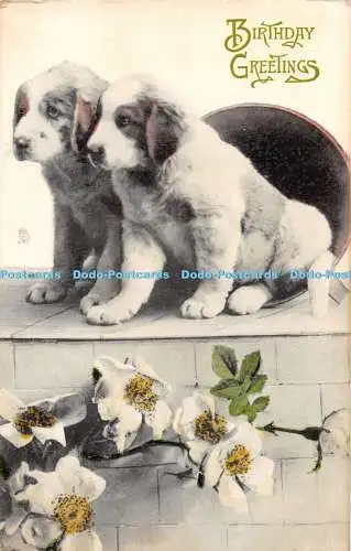 R363385 Geburtstagsgrüße Hunde Welpen stecken Blume Postkarte 6627 fotografiert f