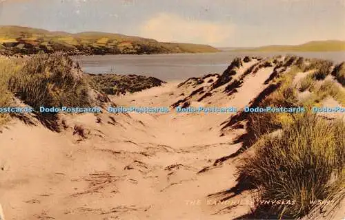 R364834 Ynyslas The Sandhills Valentine Collo Farbpostkarte