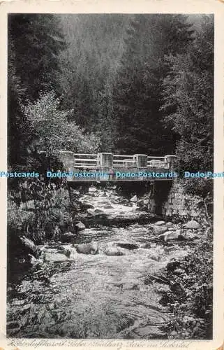 R363514 Hohenluftkurort Sieber Sudharz Partic in Siebertal H Lieberam