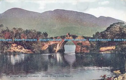 R363643 Brickeen Bridge Killarney Bridge Of The Little Trout 19247 J V Valentine