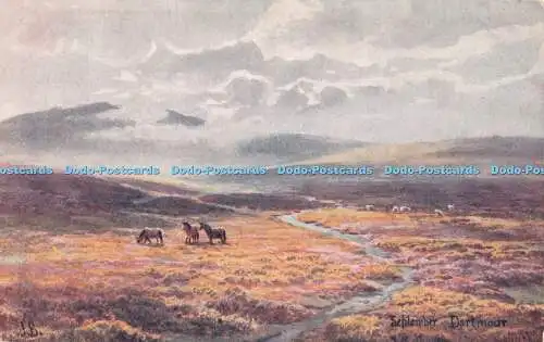 R365116 Dartmoor September Jackson and Morrish The Dartmoor Series No 1006 J Bar