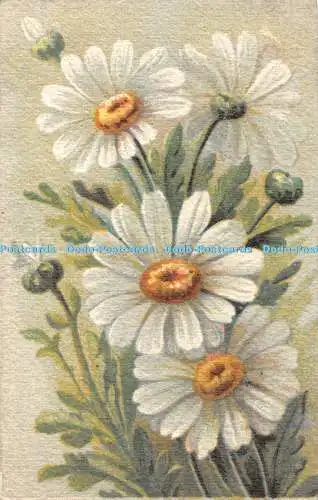 R361912 Blumen Proprieta artistica riservata 1006 6 F L M Grußkarte